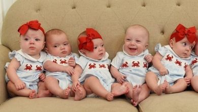 تولد بیش از ۴۵ هزار نوزاد در مرکز ناباروری یزد