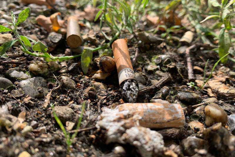 مرتعسوزی در اصفهان با تهسیگار