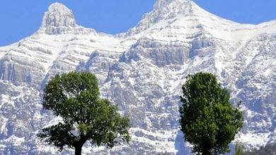 «مصوبه جنجالی جدایی دنای شمالی»