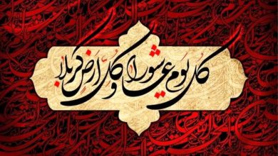 کاربرد و تطبیق خطا در ادب عاشورایی