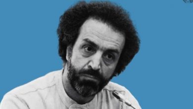 محسن رنانی: موی دماغ دولت هستم