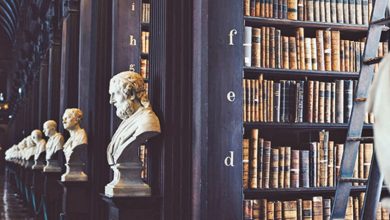 فایدهی فلسفه