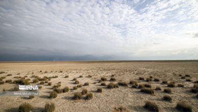 خاطرات هاشمی 9 شهریور سال ۸۰ | ناراحتی مردم کرمان از خشکسالی