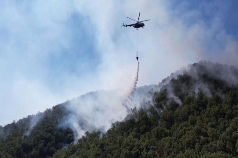 آتشسوزی در جنگلهای باشماق مریوان مهار شد