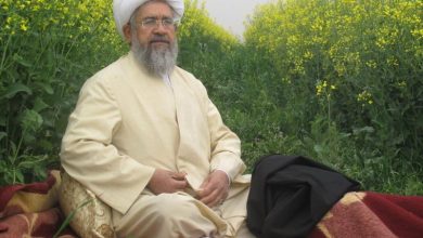 نکونام: فقیه جامعه‌اندیش