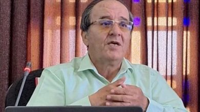 «درخت زیتون تلخ به ریه انسان آسیب وارد می‌کند»