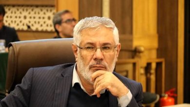 گلایه‌ی حامی پزشکیان در فارس از وزیر کشور