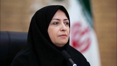 شینا انصاری: خبر نگران‌کننده جنگل‌های الیمالات به دستم رسید