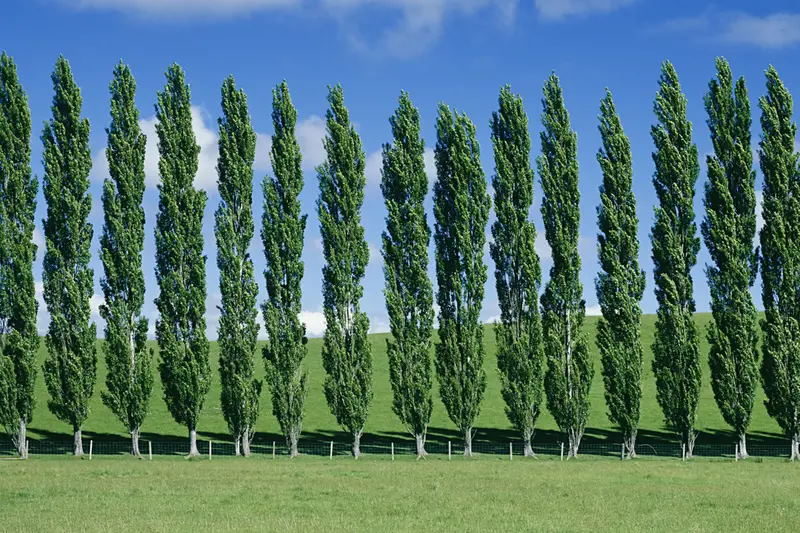 سرمایهگذاری سبز