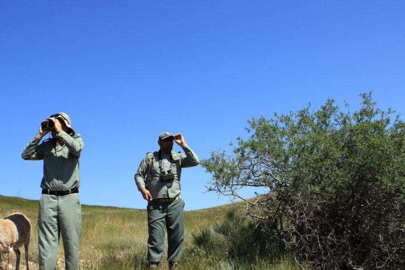 هر ۴۰ هزار هکتار یک محیطبان