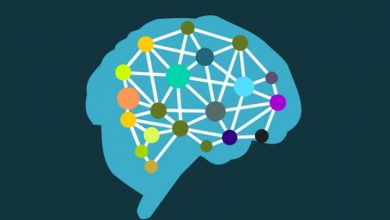 آزمایش فکری در فلسفه ذهن