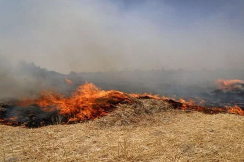 «سوزاندن کاه و بقایای گیاهی ممنوع است»