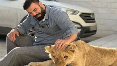 ماجرای نگهداری توله شیر | علی‌اکبری: دزدگیر خانه مادرم بود!