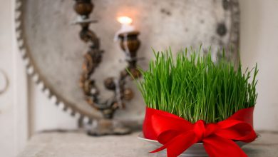 ۲۱ توصیه برای سیزده بدر پاک و مفرح