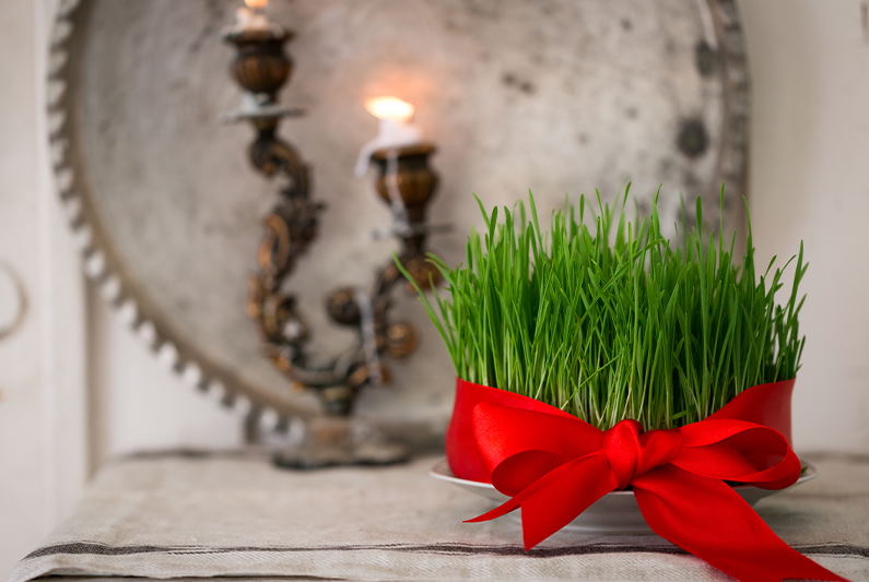 ۲۱ توصیه برای سیزده بدر پاک و مفرح