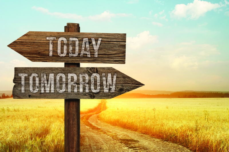 آیندهی بشر | مغزهای کوچکتر و دوستان کمتر؟