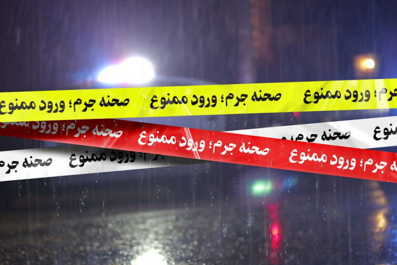 قتلهای خانوادگی و معضل آمار