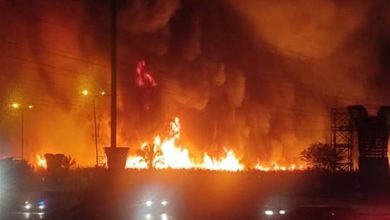 مهار آتش‌سوزی در نیزارهای بوشهر