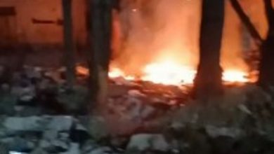 سوزاندن شبانه زبالهها در پارک گلهای زاهدان