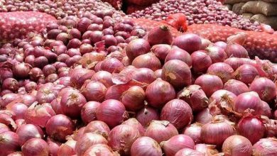 زیان کمرشکن پیازکاران جنوب کرمان با وجود خرید تضمینی