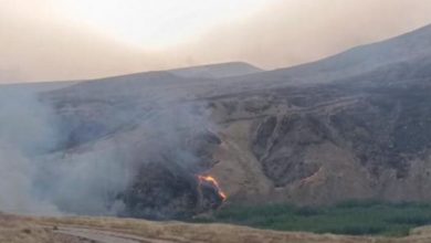 آتش در مراتع نوار مرزی غرب کرمانشاه مهار شد
