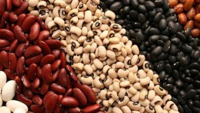 «حبوبات قیمت ثابت و رسمی ندارند»