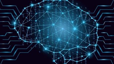 هوش فضایی زنان کمتر از مردان نیست | پس چرا کمتر ارزیابی می‌شود؟