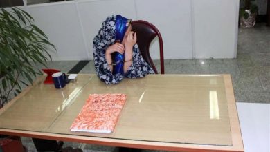 جراحی زیبایی با لیسانس علوم سیاسی!