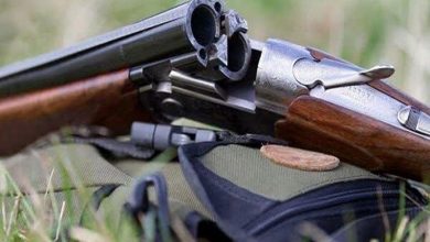 ۴۶ سلاح جنگی و شکاری غيرمجاز در هرمزگان کشف شد