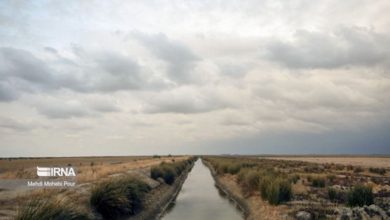 طرح جامع احیای تالاب میانکاله به کجا رسید؟