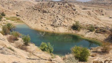 سرقتی به بزرگی یک دریاچه