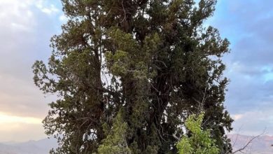 ثبت ۵ اثر طبیعی استان کرمان در فهرست آثار ملی