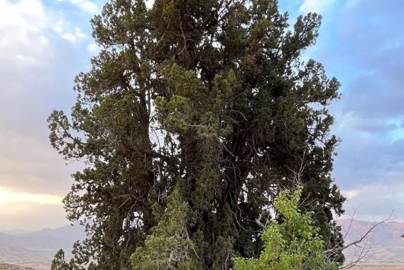 ثبت ۵ اثر طبیعی استان کرمان در فهرست آثار ملی