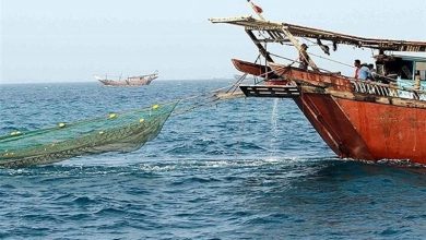 دومین قطب صید آبزیان کشور کجاست؟