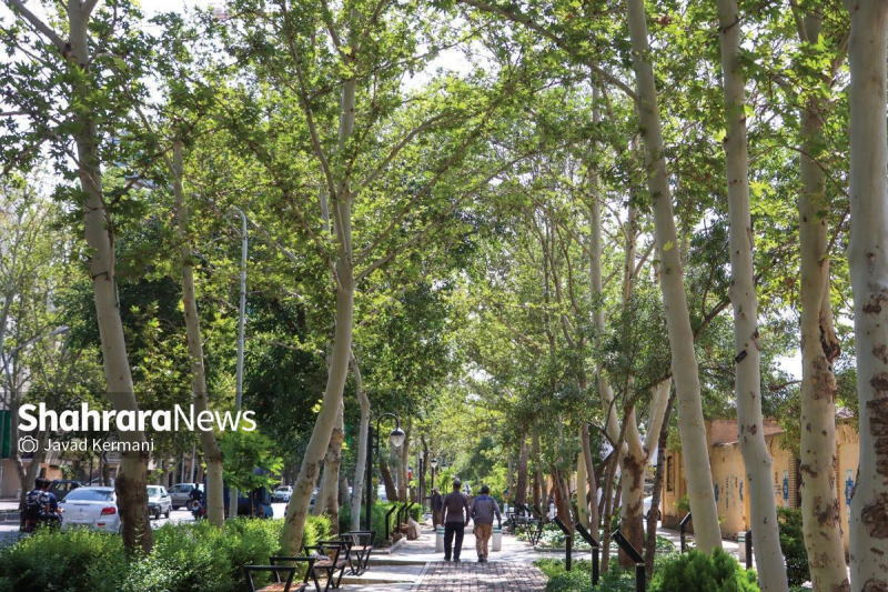 مشهد یکی از سبزترین شهرهای کشور از نگاه مردم