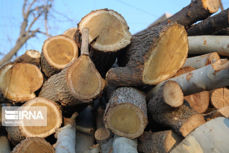 دستگیری قاچاقچی چوب در سقز