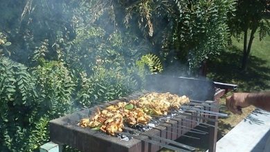 بساط کبابفروشی در پارکهای زنجان غیرقانونی است