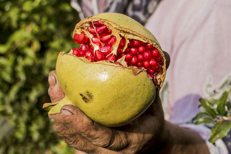 جشنواره انار جوشقان کاشان جمعه 25 مهر برگزار میشود