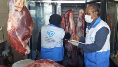 علت معدوم‌سازی بیش از دو تُن گوشت قرمز در زاهدان