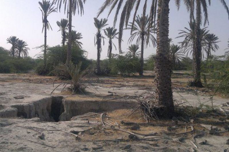 «دشت میناب؛ گنجینهای که در آستانه نابودی کامل است»