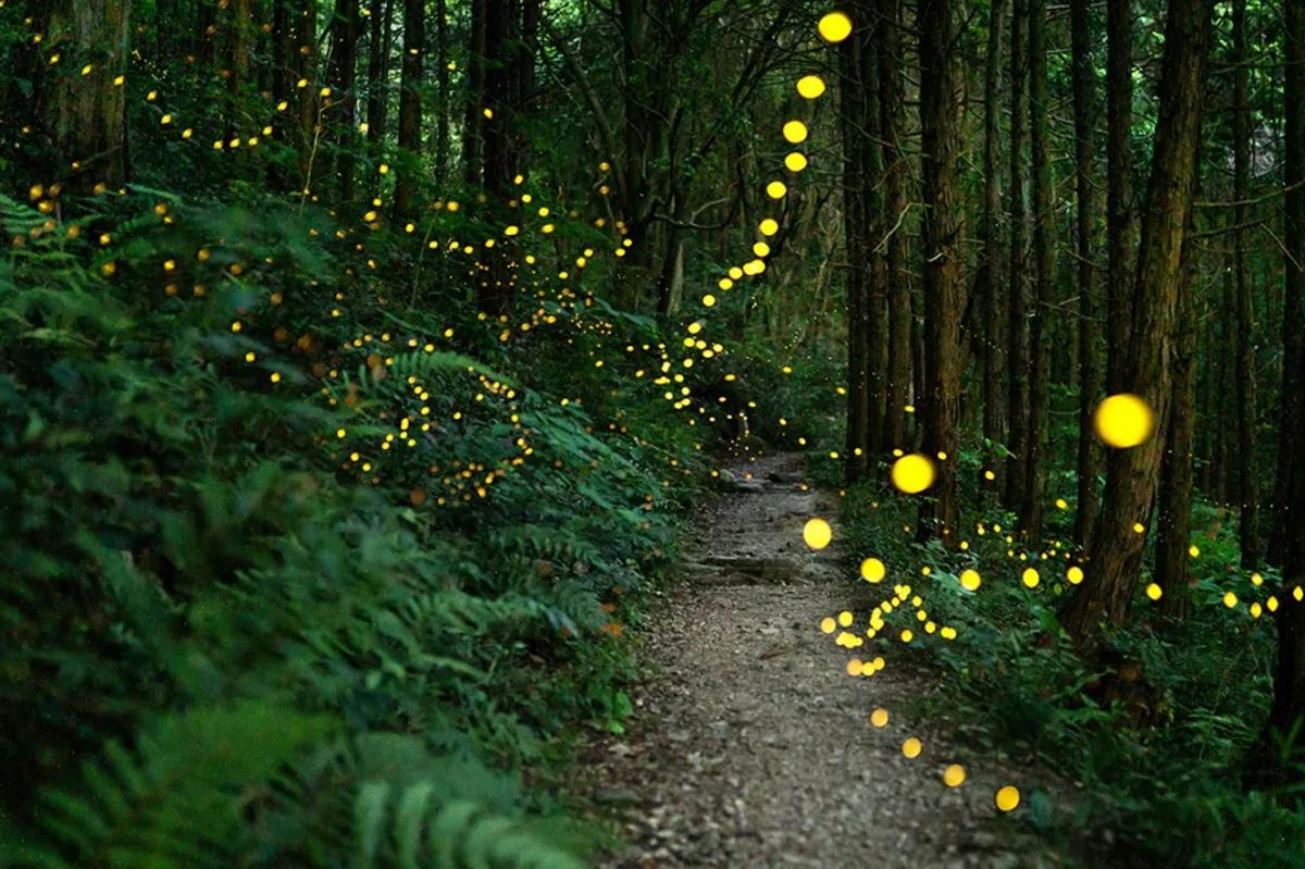 بسیاری از خداناباوران و بیدینها در سراسر جهان باورهای معنوی دارند