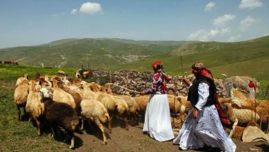 پیامدهای خاموش انحلال سازمان امور عشایر