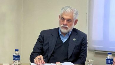 «کاهش ارز واردات امنیت غذایی را تهدید میکند»