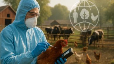 شیوع آنفلوانزای پرندگان در گیلان