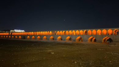 روز نصف جهان